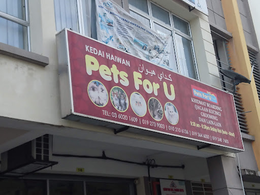 Kedai Haiwan Pets For U