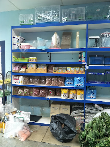 Kedai Akuarium dan Ikan Tempatan Kim Wah
