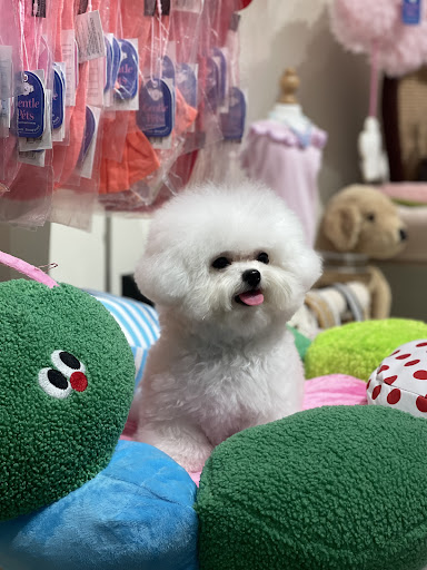 Pawcestor® Pet Store