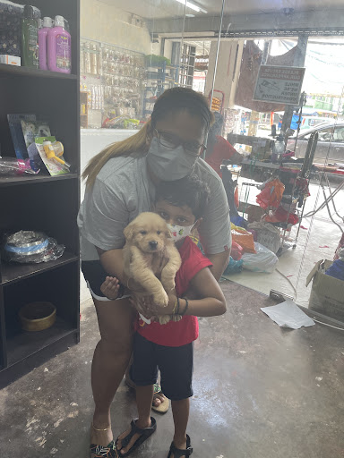 Ck Chappie Happie Pets