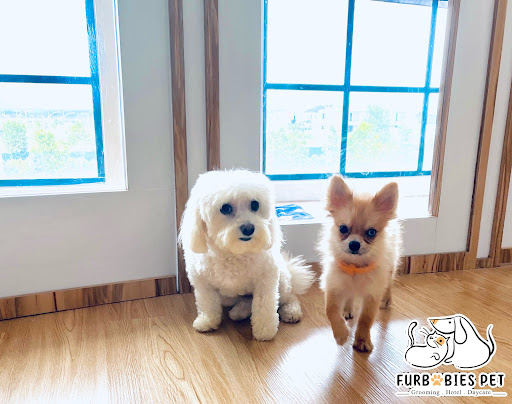 Furbabies Pet 毛孩宠屋 Furbabies Pet 毛孩宠屋