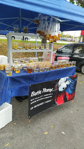betta homes