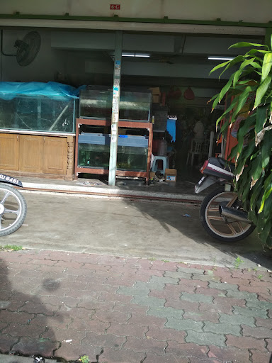Akuarium Permai