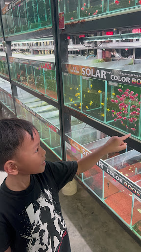 Winson Aquarium & Pets Shop