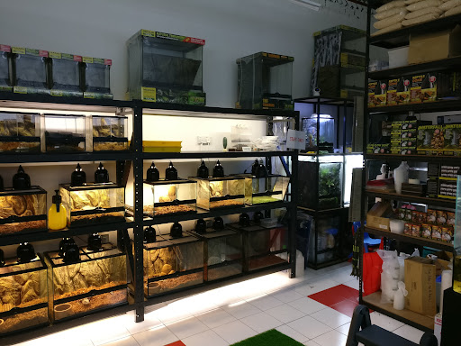 Exotic Pets Studio Malaysia Exotic Pets Studio Malaysia