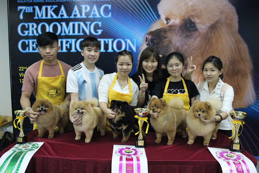 Doggy Doge Grooming & Training Academy Doggy Doge Grooming & Training Academy
