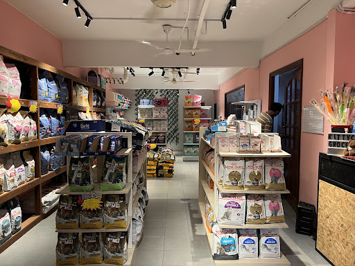 kittycat grocery kittycat grocery