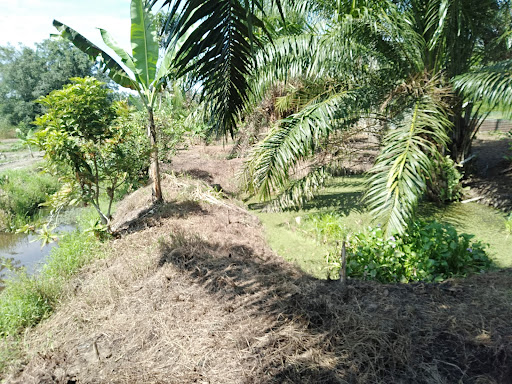 akuakultur puncak rezeki