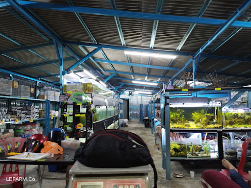 Kedai Ikan & Umpan Kemaman LD AquaStore