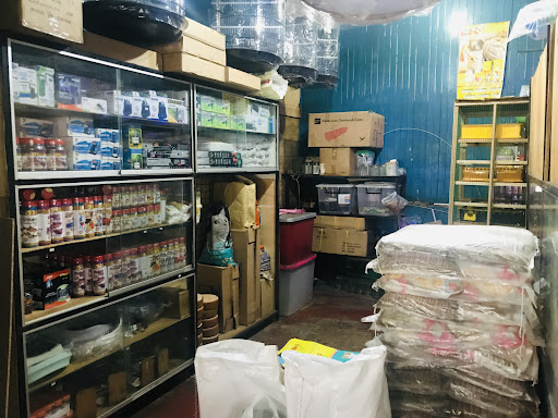 Kertih Pets Shop Kertih Pets Shop