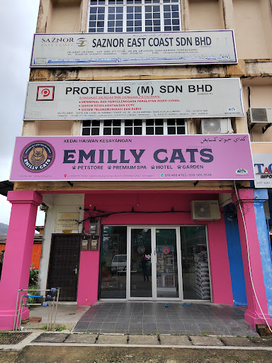 Emillycats Emillycats
