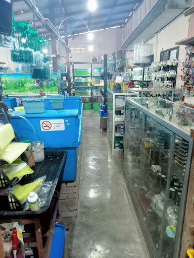 Gong Badak Petshop and Aquarium Gong Badak Petshop and Aquarium