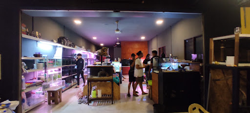 Saloma Pet Shop Saloma Pet Shop