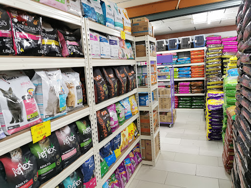 Eppy Cat House (Durian Burung) - Pet Shop Kedai Kucing