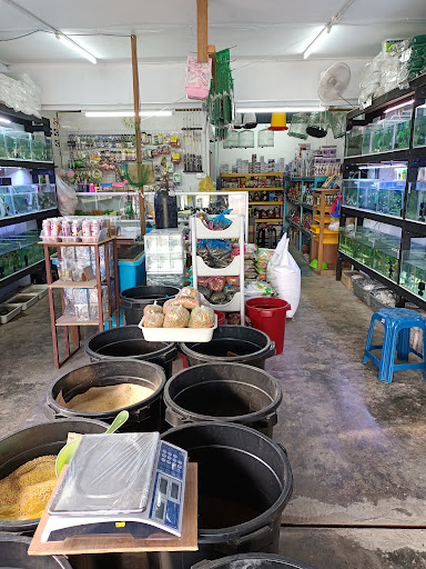 Tepoh Petshop and Aquarium