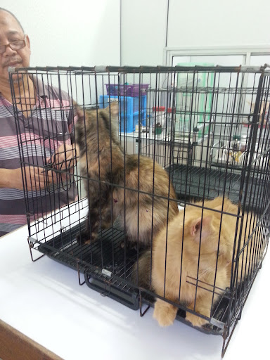 DrNor Veterinary Clinic DrNor Veterinary Clinic