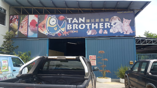 Tan Brothers Aquatic Trading Co.