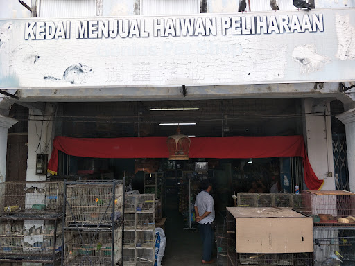 Genius Pet Shop