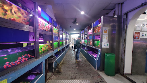 Xian Leng Aquatic Merchant Sdn Bhd