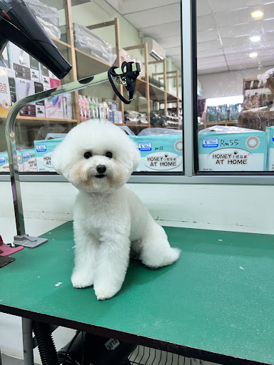 Pets Garden Shop