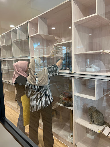 Meow Petshop JB Meow Petshop JB