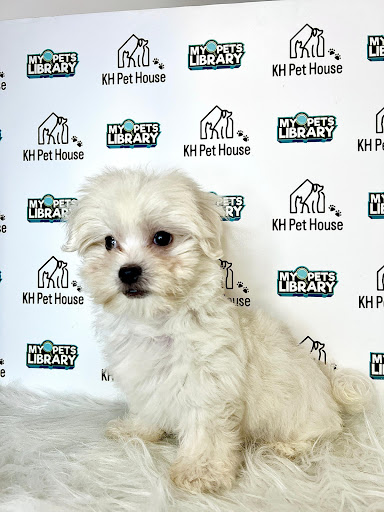 KH Pet House KH Pet House