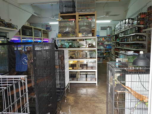 Suprema Exotic Pets Suprema Exotic Pets
