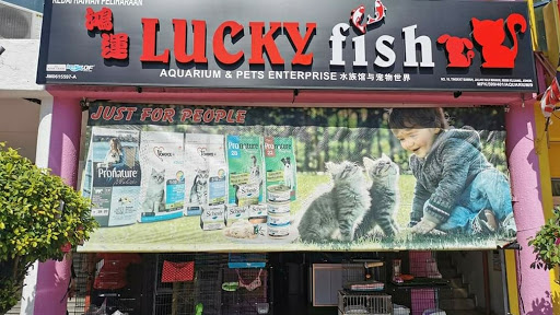 Lucky Fish Aquarium&Pets Enterprise