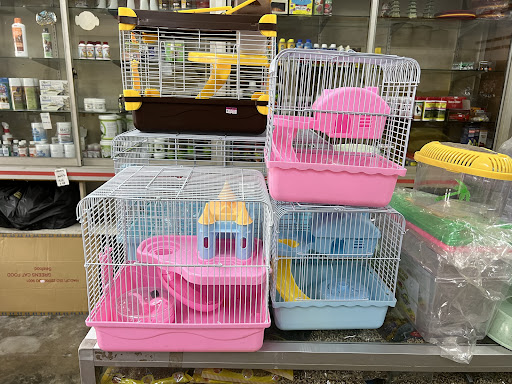 MM PETS WORLD
