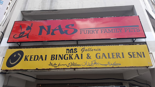 nas furry family pets