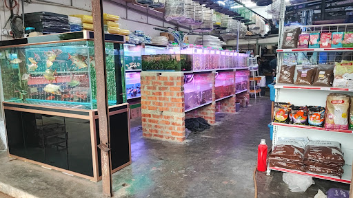 Kuen Hiong Trading Kuen Hiong Trading