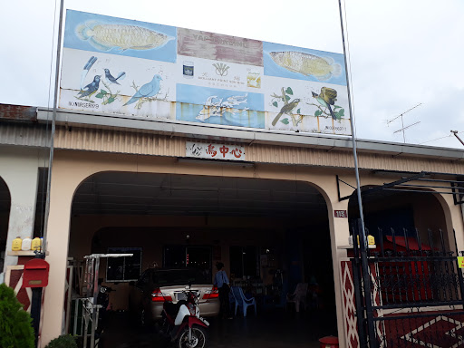 Yap Trading Yap Trading