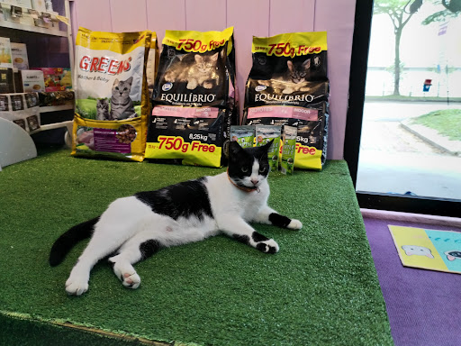 DR.CUTE CAT PARADISE CENTRE DR.CUTE CAT PARADISE CENTRE