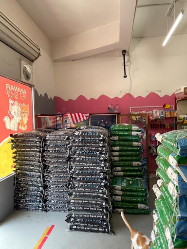 ANWAR PET SHOP