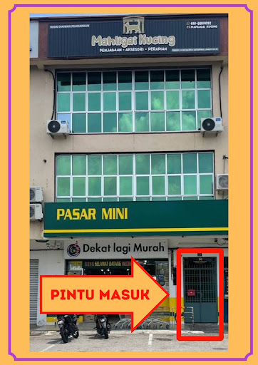 Mahligai kucing