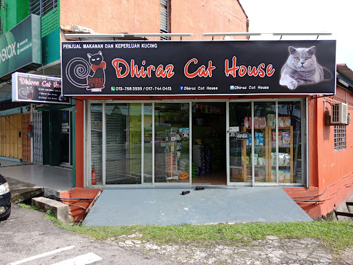 Dhiraz Cat House Dhiraz Cat House