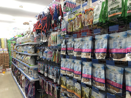 宠物店 宠物店
