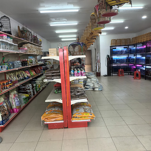 PAK MOMIN PETS SHOP PAK MOMIN PETS SHOP