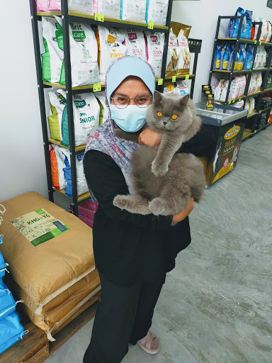 Belongs pet shop Belongs pet shop