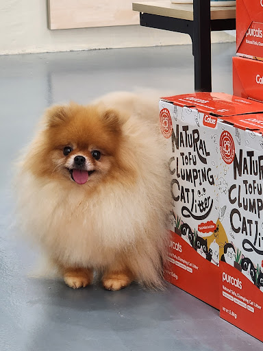 Furry Friend Pet Services Furry Friend Pet Services