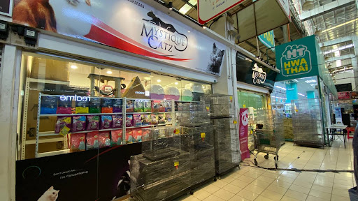 Mystique Catz (TJ Mart Saleng) Mystique Catz (TJ Mart Saleng)