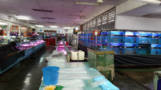 NanYang Fish Farm (M) Sdn. Bhd.