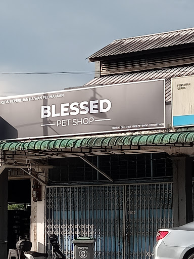 Blessed Pet Shop Blessed Pet Shop
