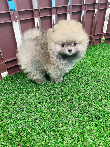 J&M PETS WORLD