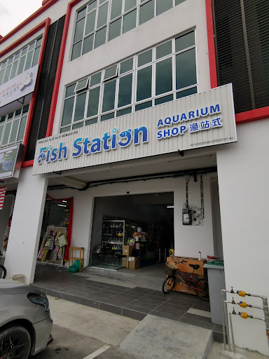 Fish Station Aquarium Shop