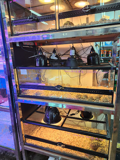 Jurrasic Pet &Exotic Shop