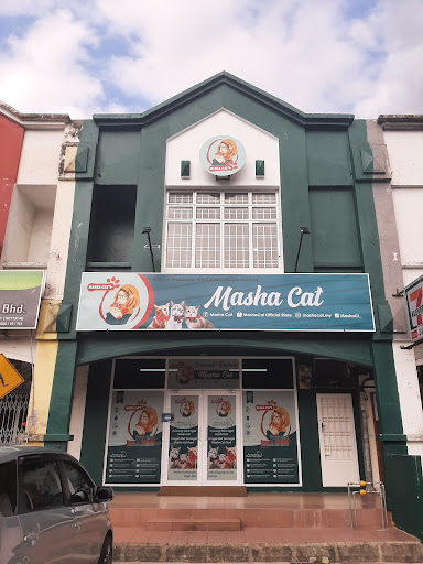 Masha Cat Masha Cat