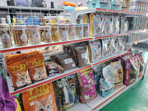 Friendship pet studio Friendship pet studio