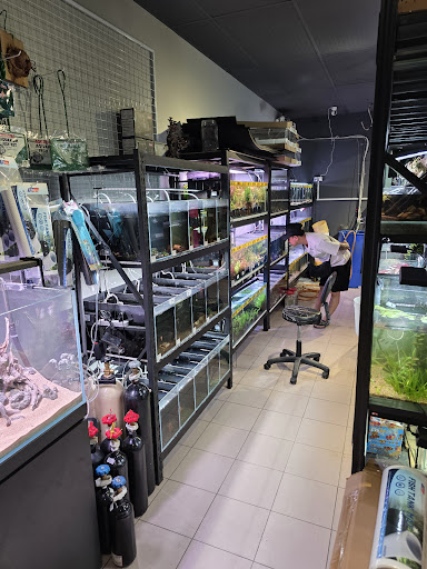J WILD AQUATIC 囧泰水族 J WILD AQUATIC 囧泰水族