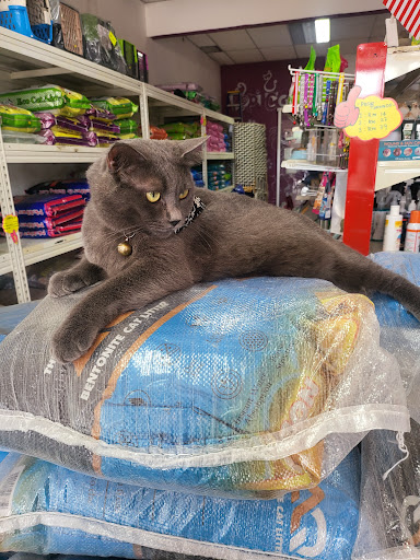 Kopi Catz Kopi Catz